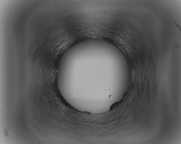 X0000092000043200709061249