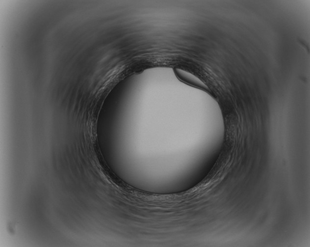 X0000092000044200709061249