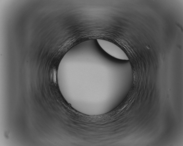 X0000092000046200709061249