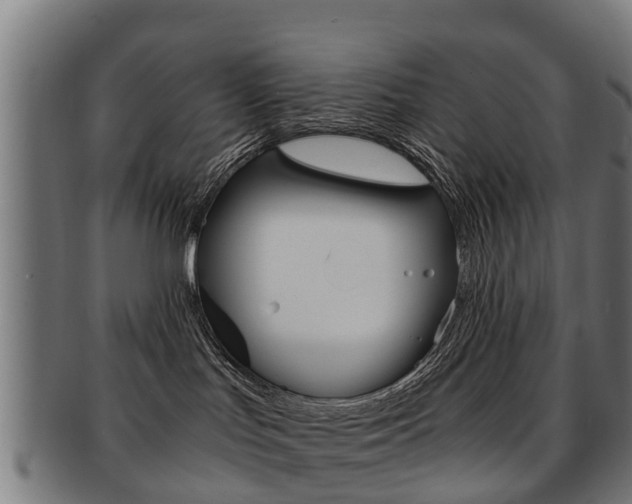 X0000092000047200709061249
