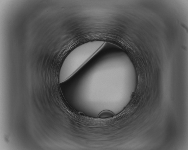 X0000092000048200709061249