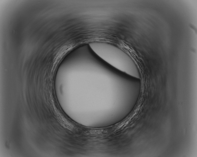 X0000092000049200709061248