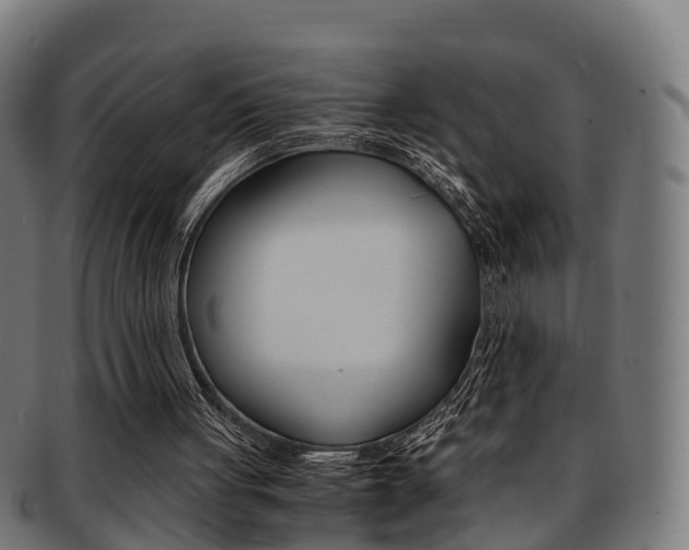 X0000092000051200709061248
