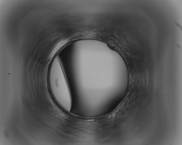 X0000092000054200709061248