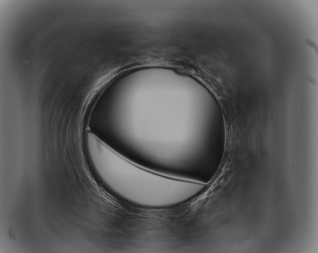 X0000092000055200709061248