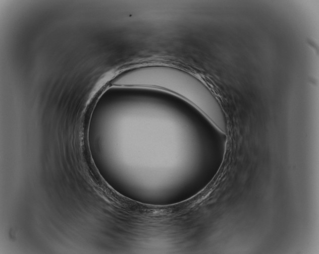 X0000092000056200709061248