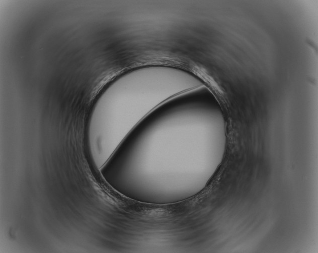 X0000092000058200709061248