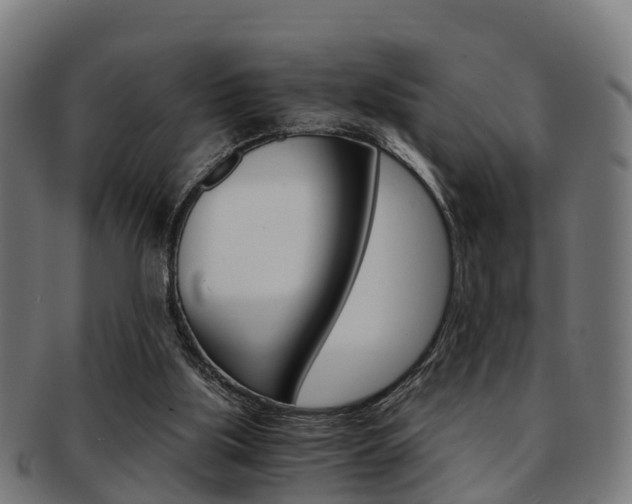 X0000092000059200709061248