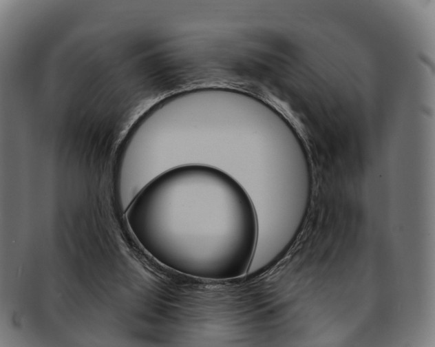 X0000092000060200709061248
