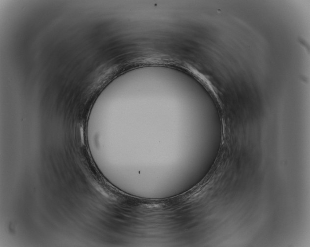 X0000092000061200709061248