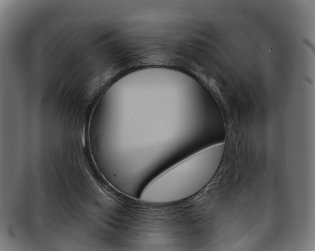 X0000092000062200709061248