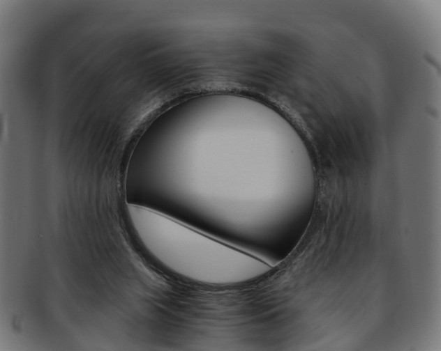 X0000092000063200709061248