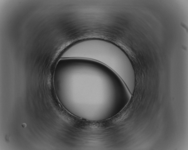 X0000092000064200709061248