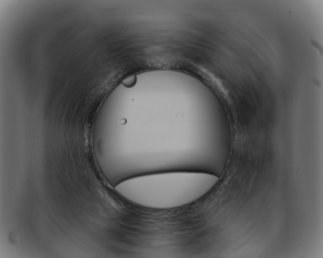 X0000092000065200709061248
