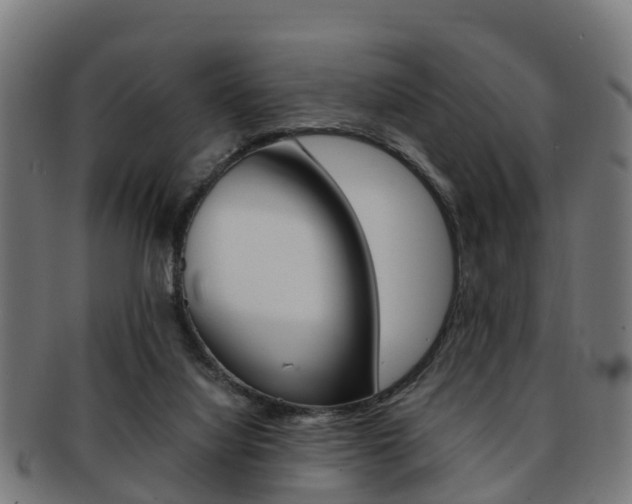 X0000092000068200709061248