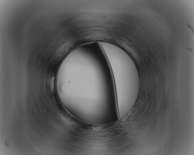 X0000092000070200709061248