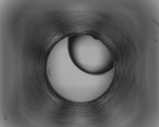 X0000092000072200709061248