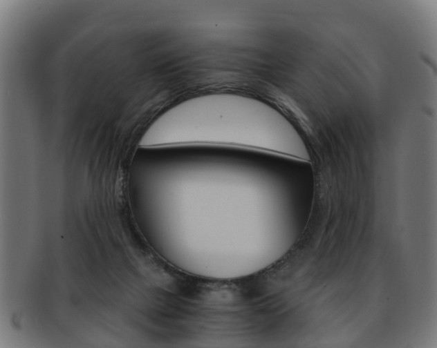 X0000092000073200709061248