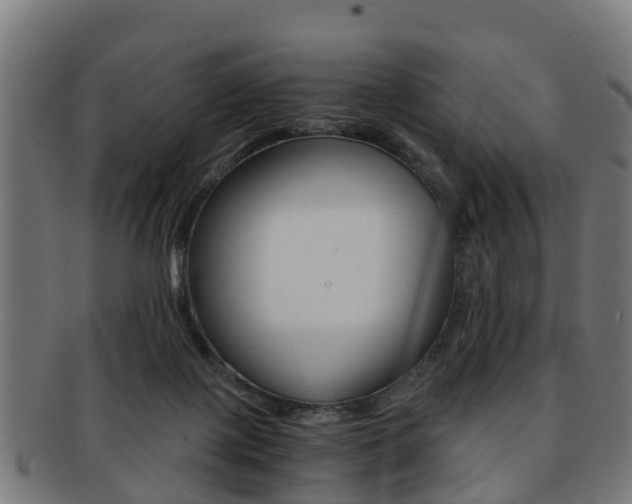 X0000092000075200709061248