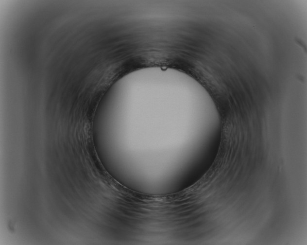 X0000092000079200709061248