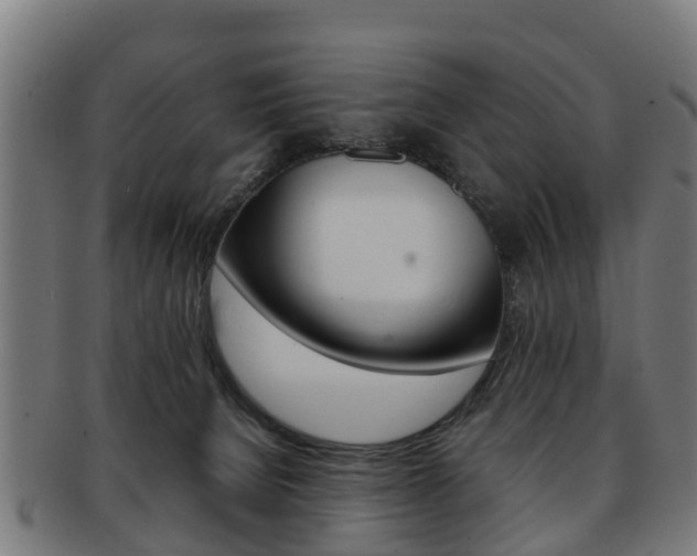 X0000092000080200709061248