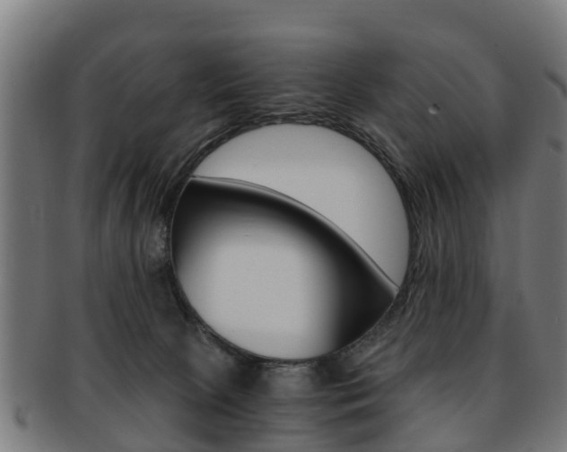 X0000092000081200709061248