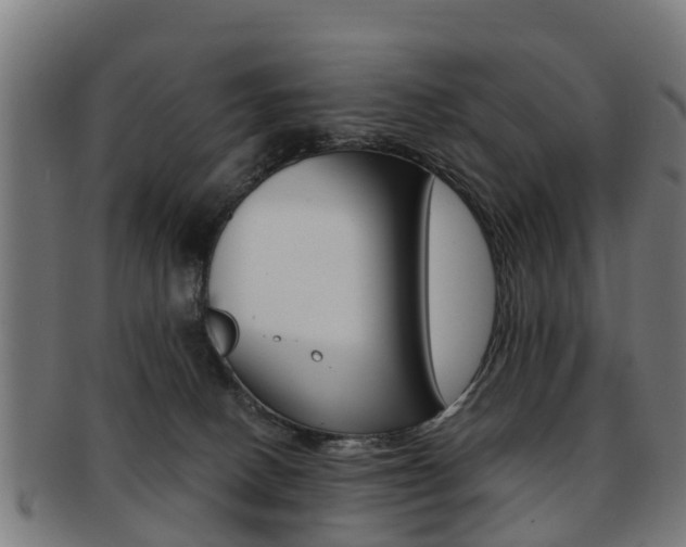 X0000092000082200709061249