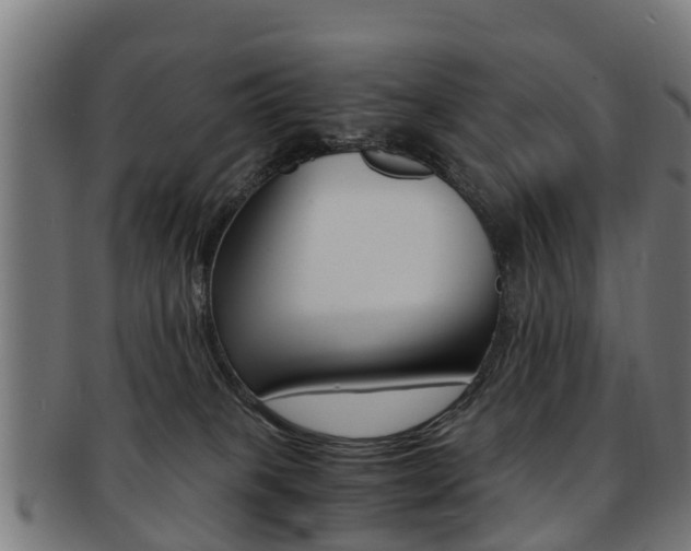 X0000092000085200709061249