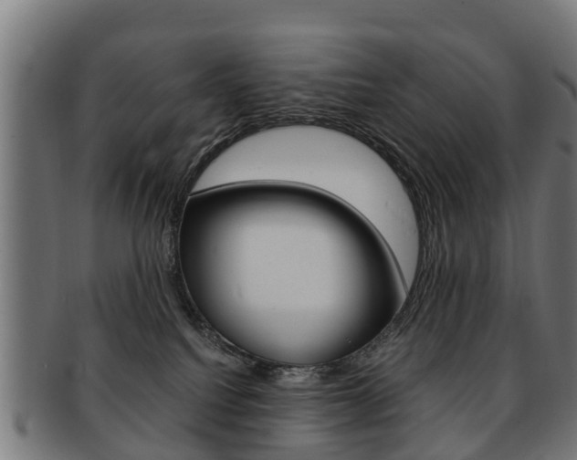 X0000092000088200709061249