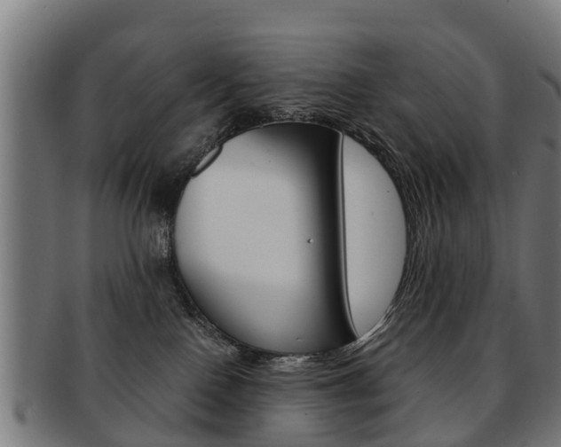 X0000092000090200709061249
