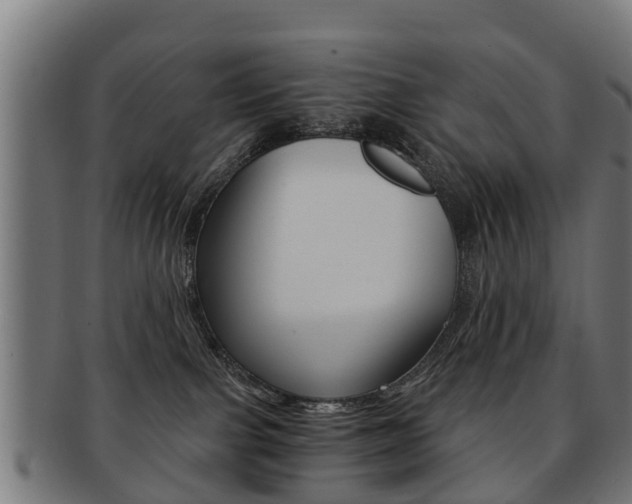 X0000092000091200709061249