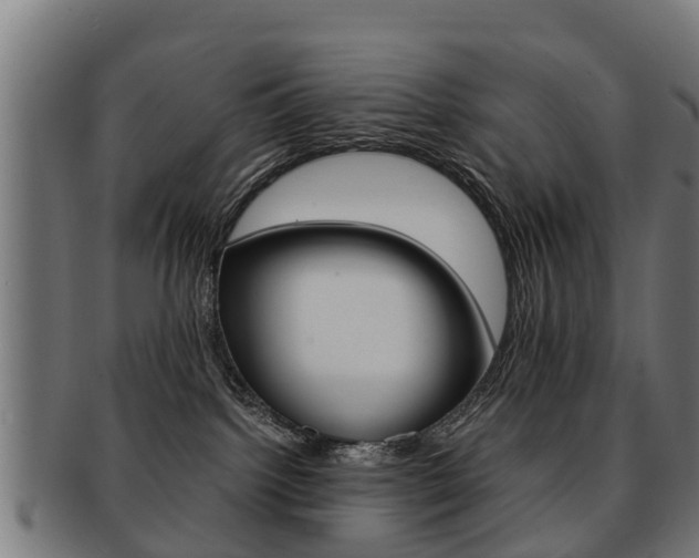 X0000092000092200709061249