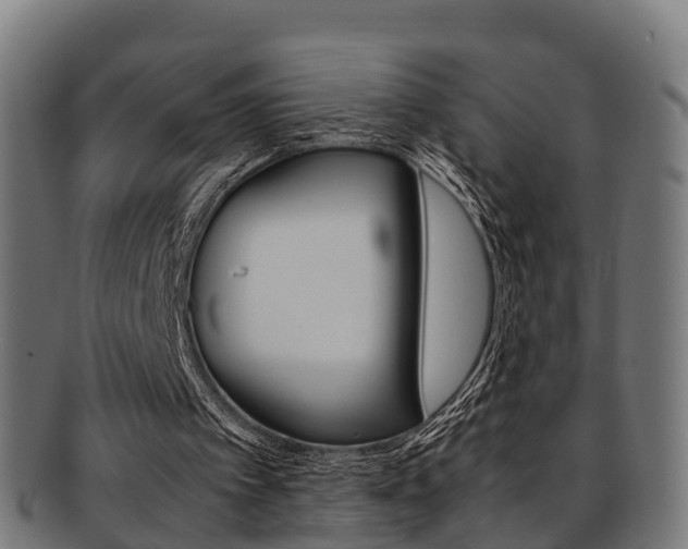 X0000092000097200709061248