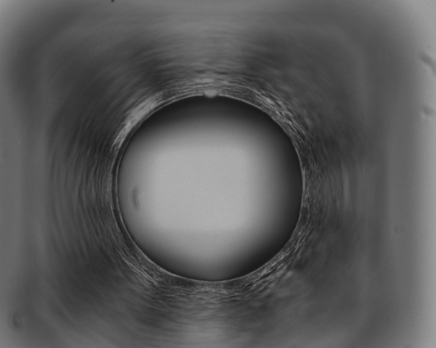 X0000092000099200709061248