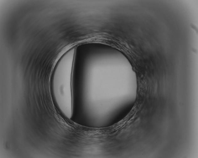 X0000092000100200709061248
