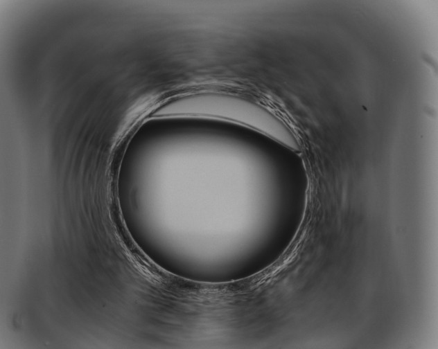 X0000092000101200709061248