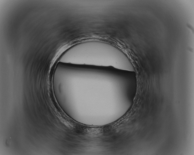 X0000092000102200709061248