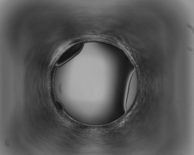 X0000092000103200709061248