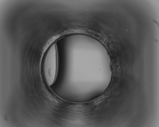 X0000092000104200709061248