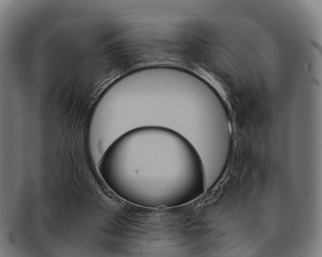 X0000092000105200709061248