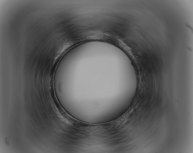X0000092000106200709061248