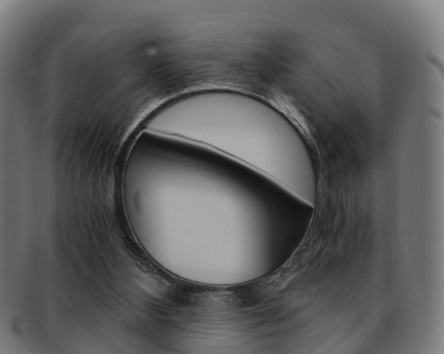 X0000092000108200709061248