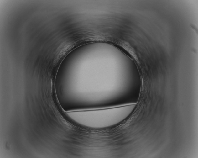 X0000092000109200709061248