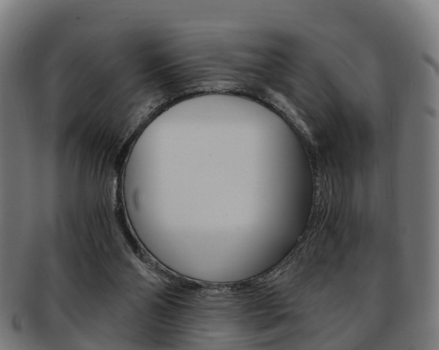 X0000092000110200709061248