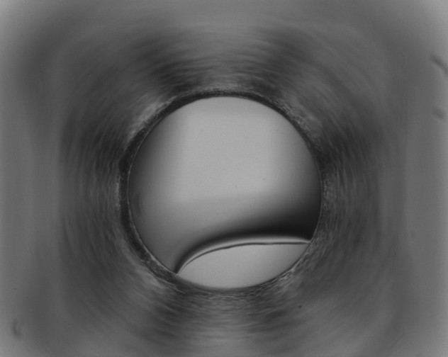 X0000092000112200709061248