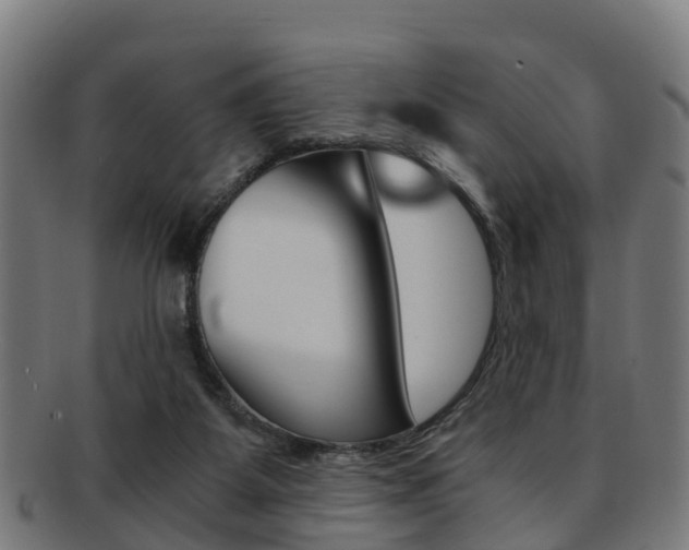 X0000092000115200709061248