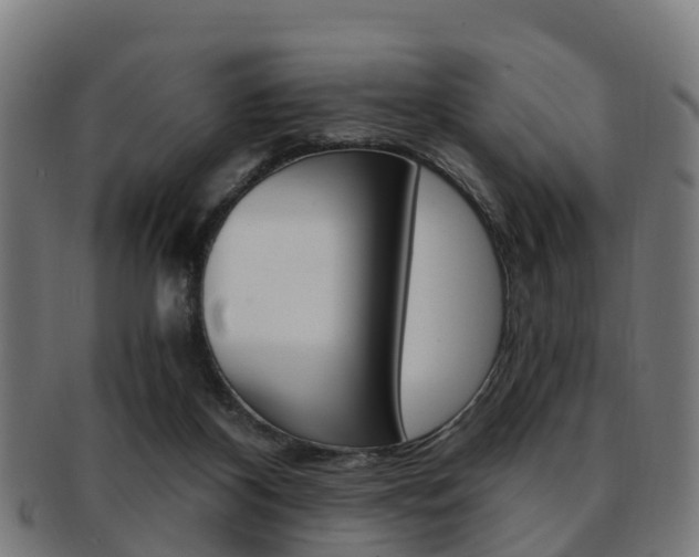 X0000092000116200709061248