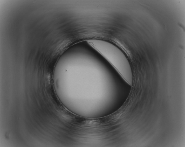 X0000092000117200709061248