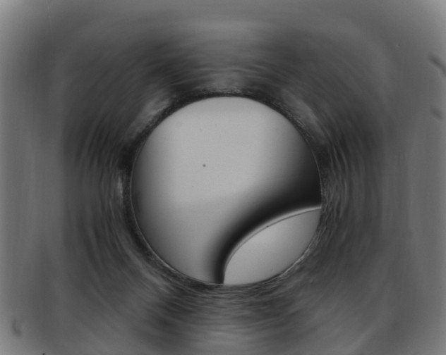 X0000092000120200709061248