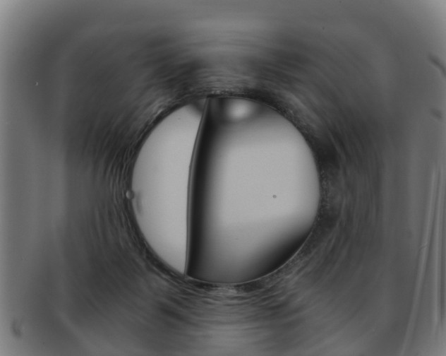 X0000092000123200709061248